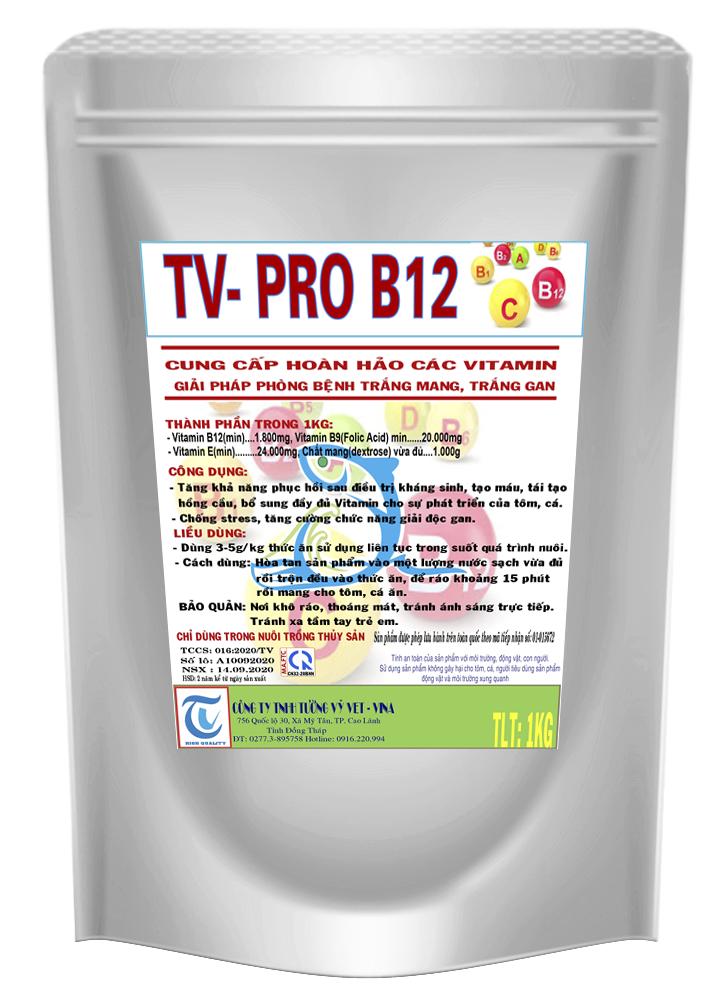 TV- PRO B12